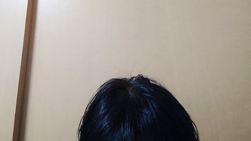 ヘナとヘナ+インディゴの2度染めが完了した状態