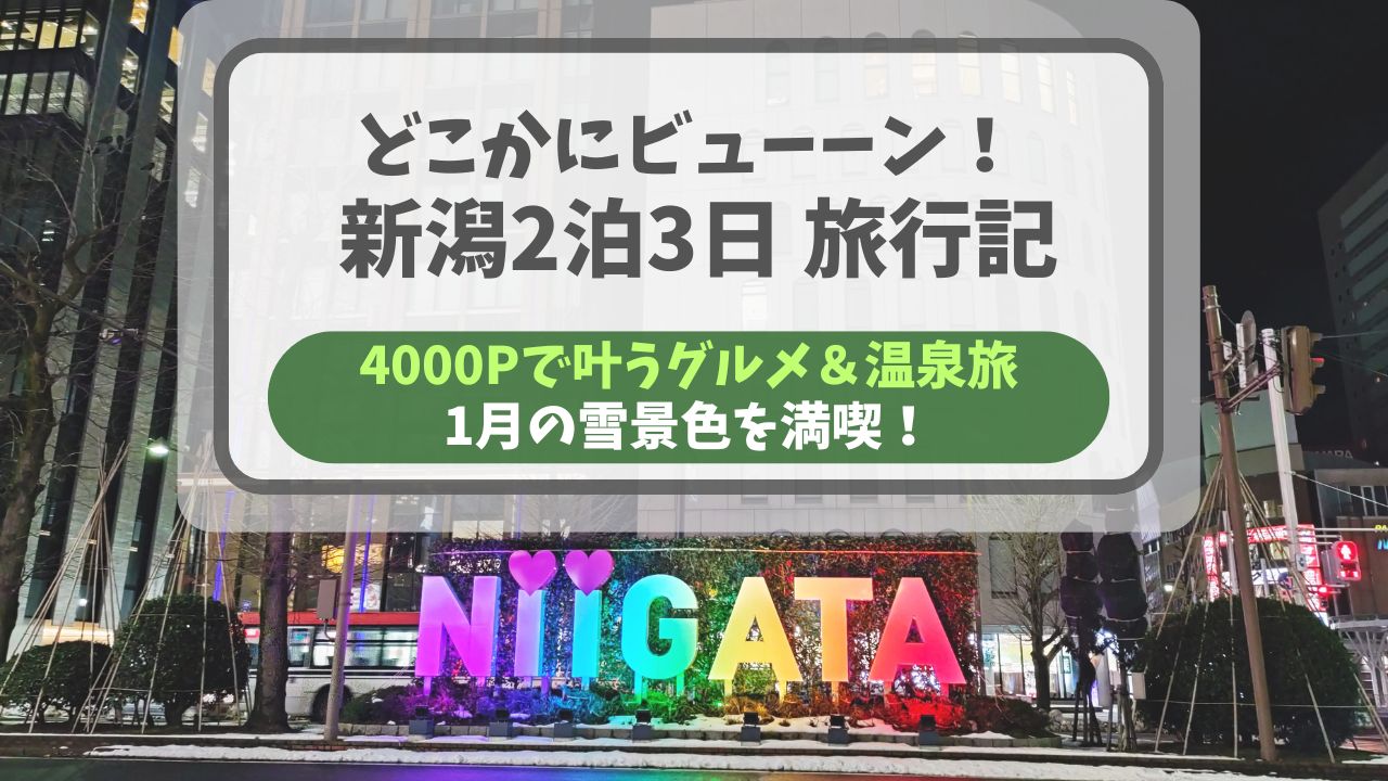 JRE POINT 4000ポイントで行く、冬の新潟2泊3日旅行記。どこかにビューーン！を利用したグルメと温泉の旅