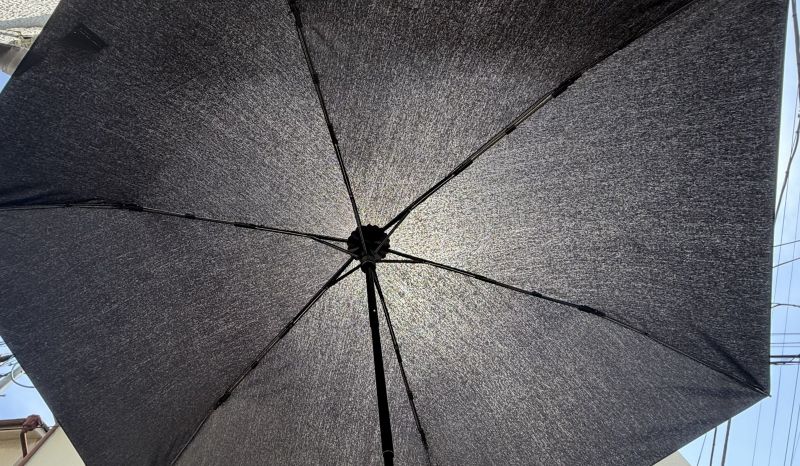 今日の強い日差しの下での内側。昨日より黒く写っているが、太陽が当たる中央部分は光が透過して明るくなっている。
