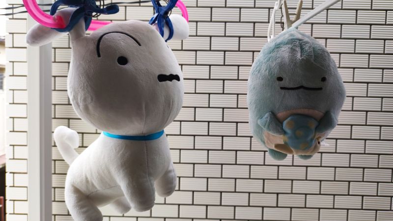 以前行っていたぬいぐるみの外干しの様子。今のドラム式乾燥機なら、天気に関わらずふわふわに洗えるようになった。