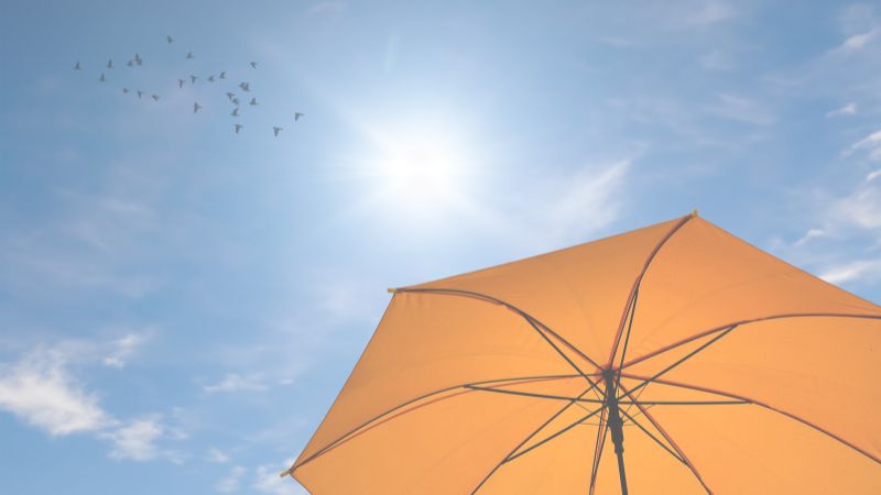 青空の下で広げた日傘と、太陽の光に向かって飛んでいく鳥の群れ